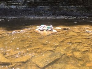 My stuff stuck in the middle of the river from my kayak trip.... :(